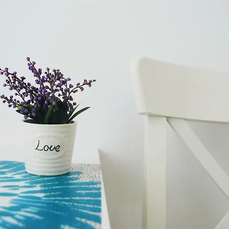 Apartment Top Center White Sofia